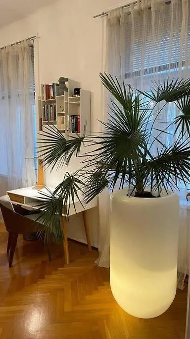 Charmante Innenstadtwohnung Wien Apartment