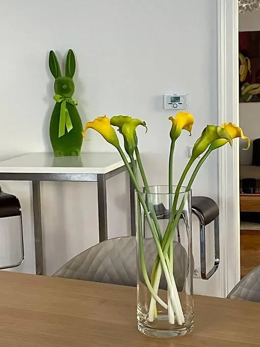 Apartment Charmante Innenstadtwohnung Wien Österreich
